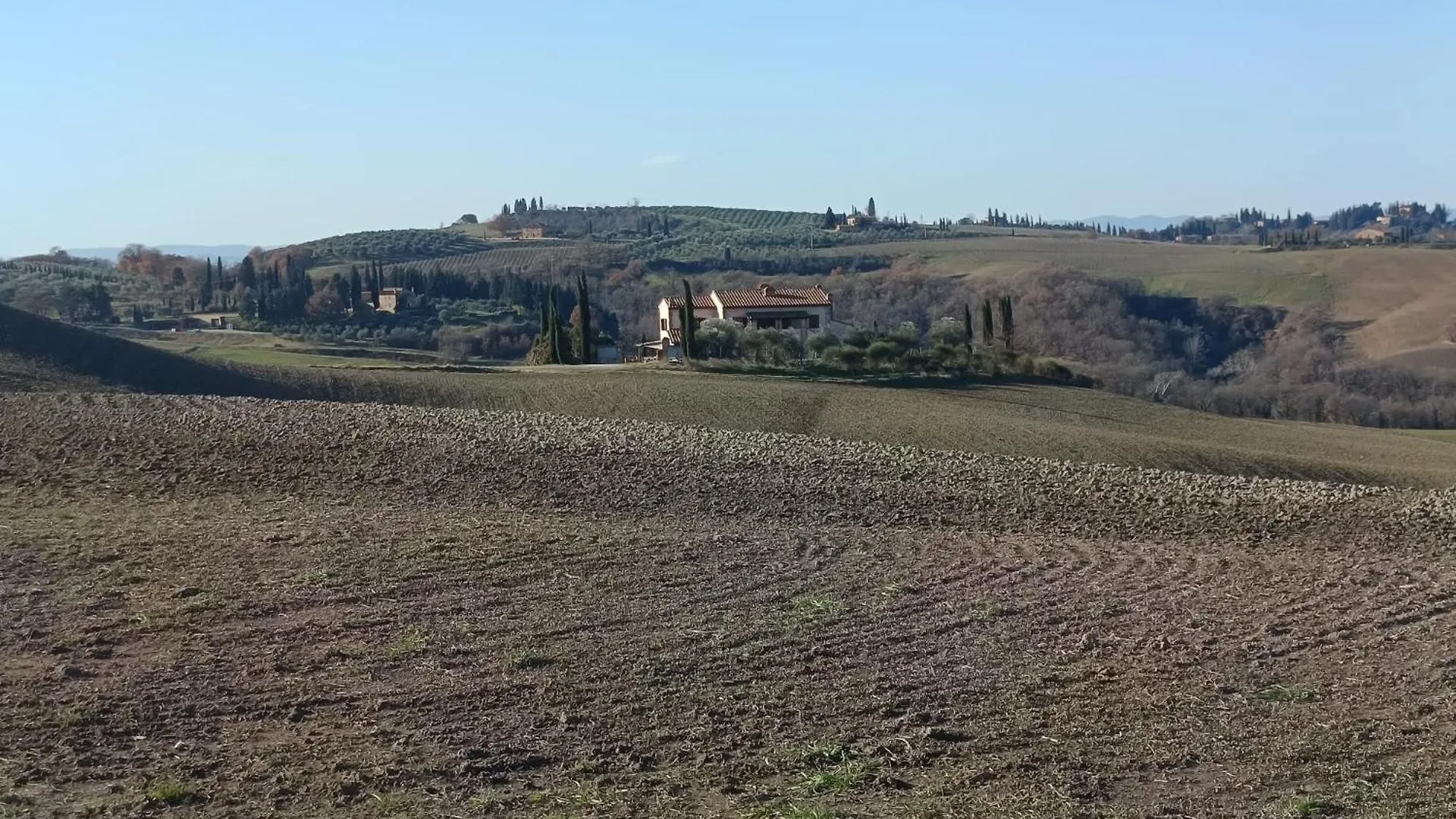 Podere Cedrola Asciano Italy